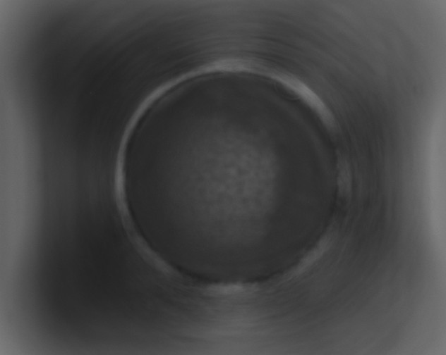 X0000100920896200807081148