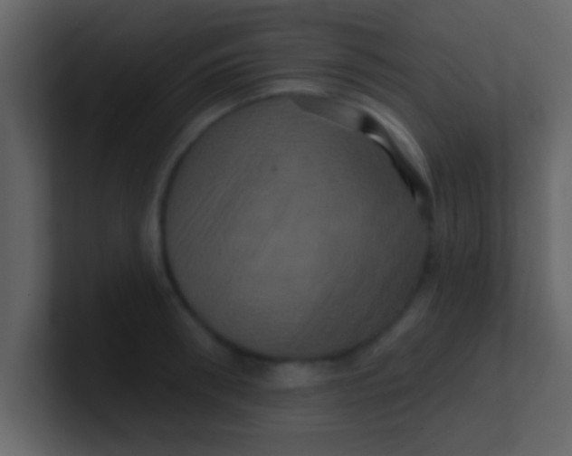 X0000100920898200807081148