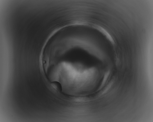 X0000100920899200807081148