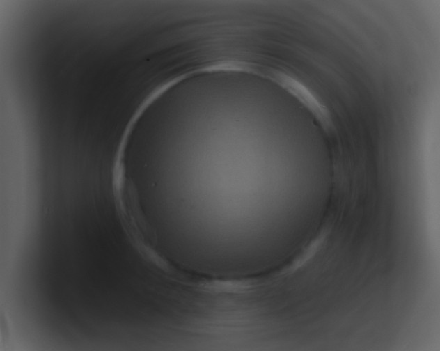 X0000100920900200807081148