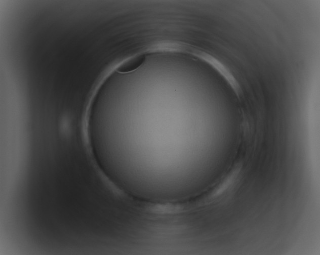 X0000100920901200807081148