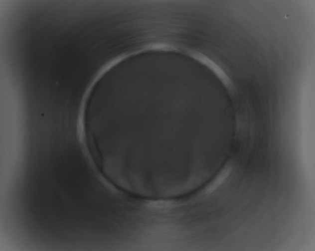 X0000100920902200807081148