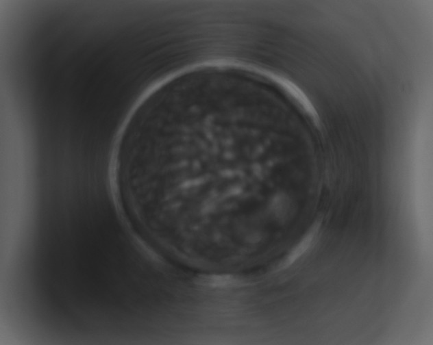 X0000100920903200807081148