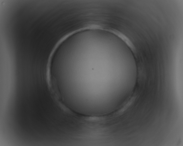 X0000100920904200807081148