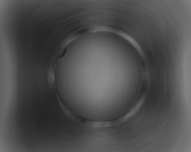 X0000100920905200807081148