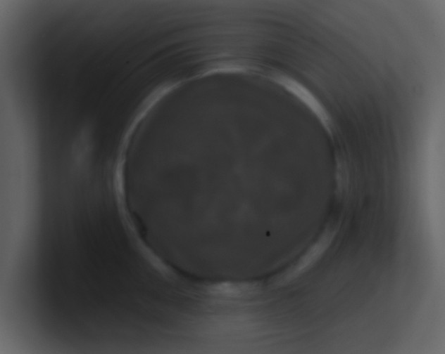 X0000100920906200807081148