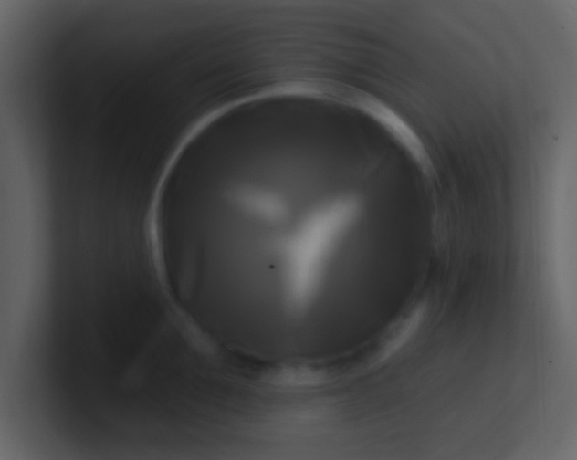 X0000100920907200807081148