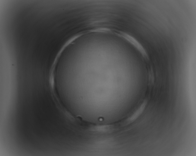 X0000100920908200807081148