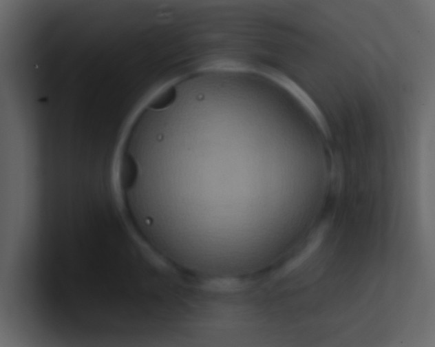 X0000100920909200807081148