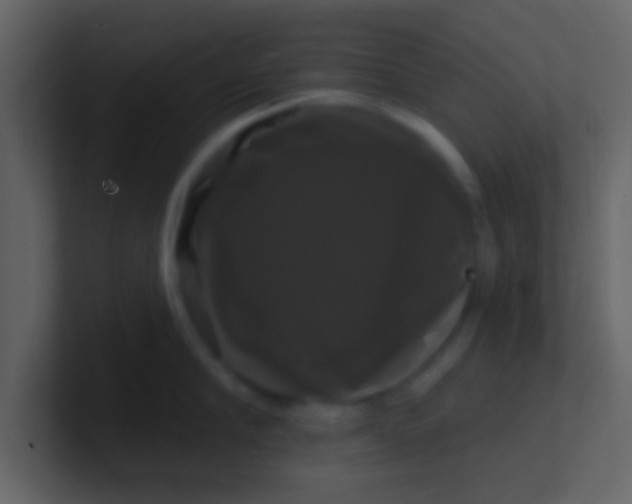 X0000100920910200807081148