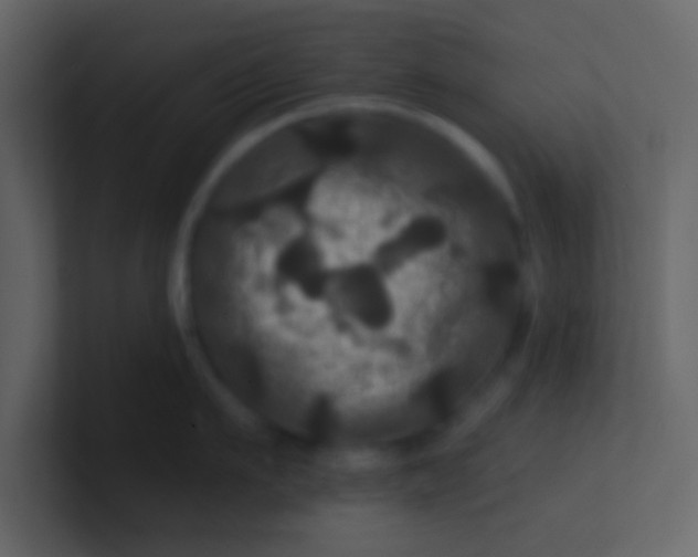 X0000100920911200807081148