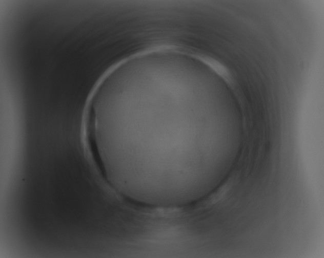 X0000100920912200807081148