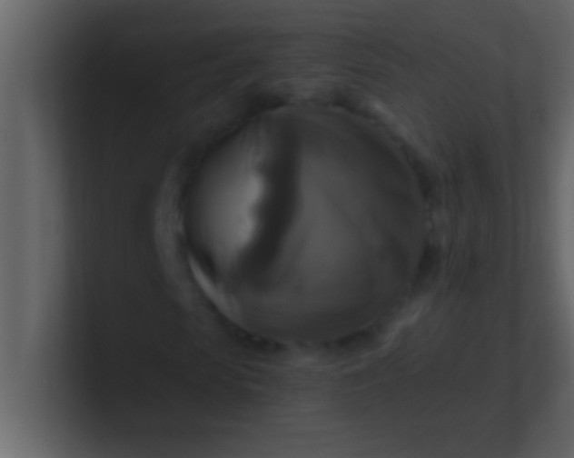 X0000100920913200807081147