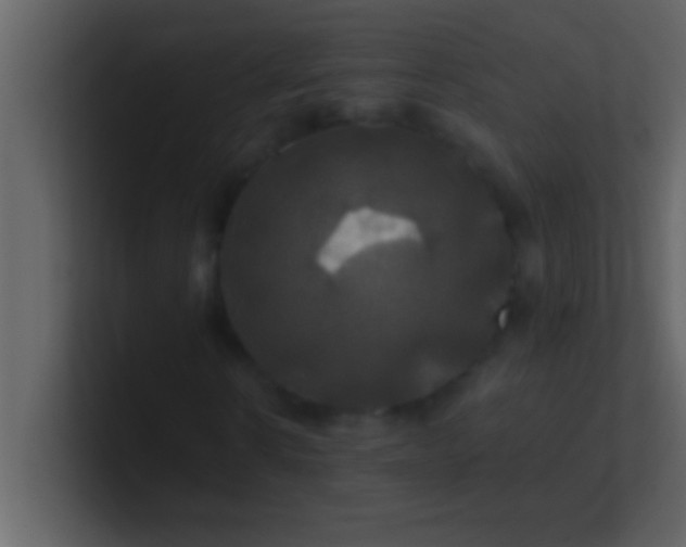 X0000100920914200807081147