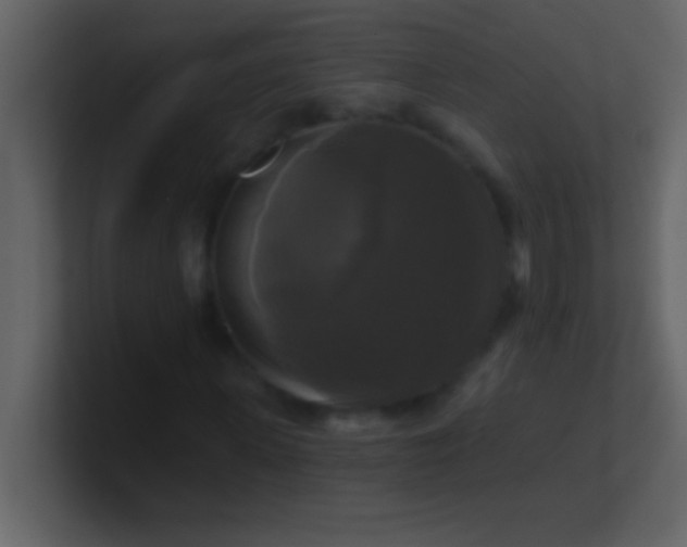 X0000100920915200807081147