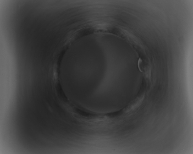 X0000100920916200807081147