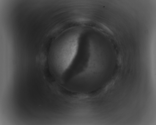 X0000100920917200807081147