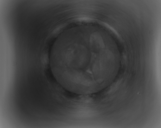 X0000100920918200807081147