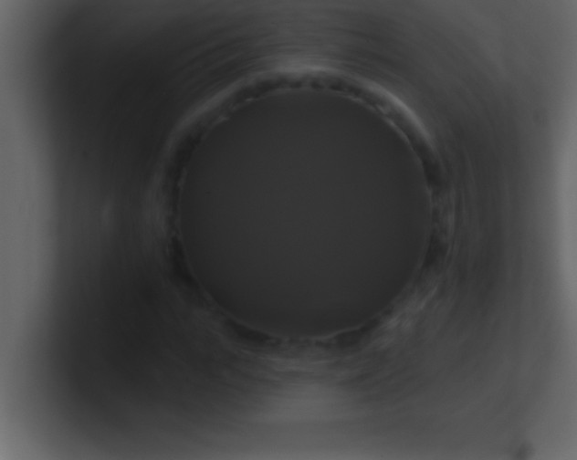 X0000100920919200807081147