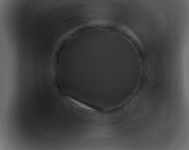 X0000100920920200807081147