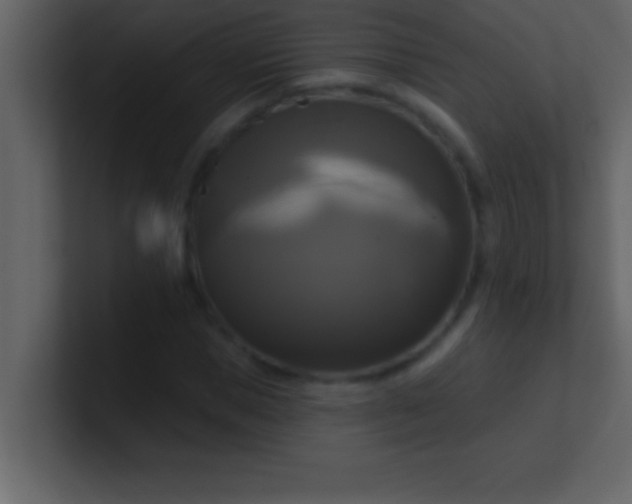 X0000100920921200807081147