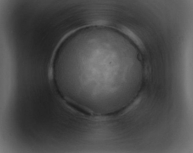 X0000100920924200807081147