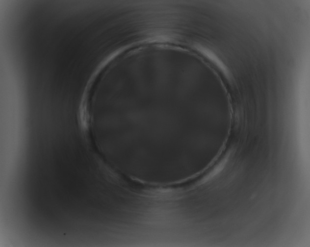 X0000100920925200807081147