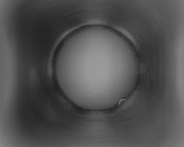 X0000100920927200807081147