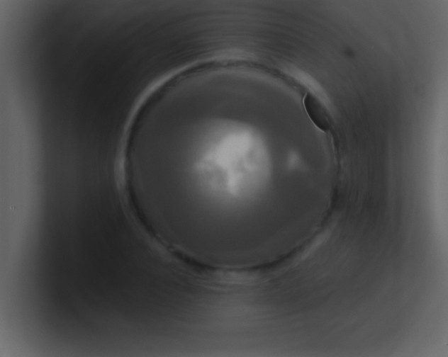 X0000100920928200807081147