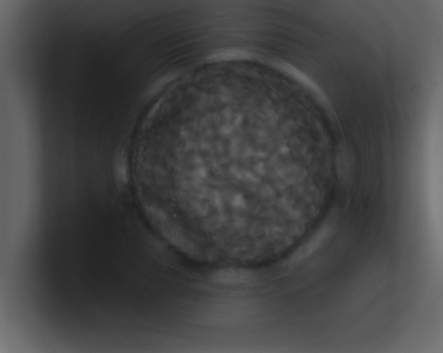 X0000100920929200807081147