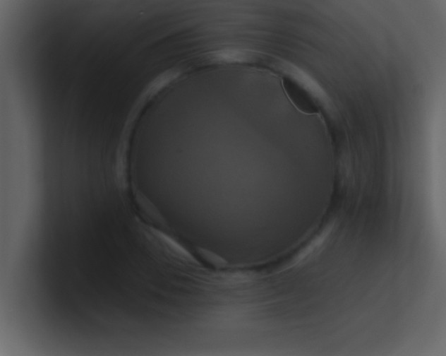 X0000100920930200807081147