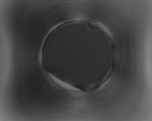 X0000100920932200807081147