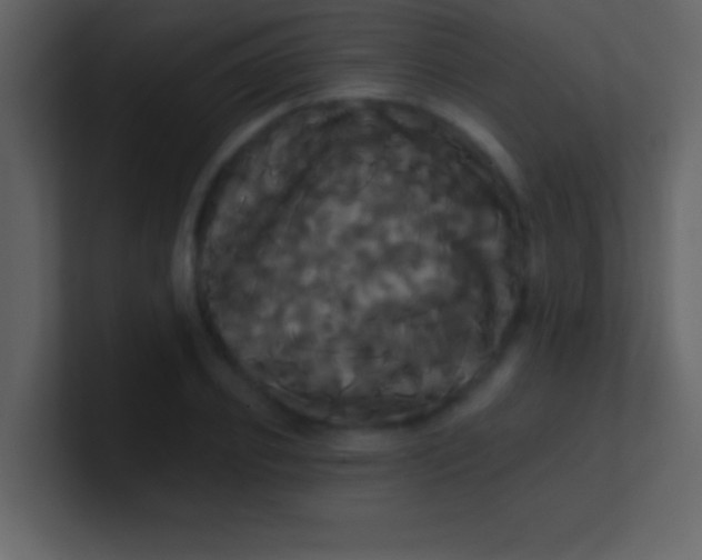 X0000100920933200807081148