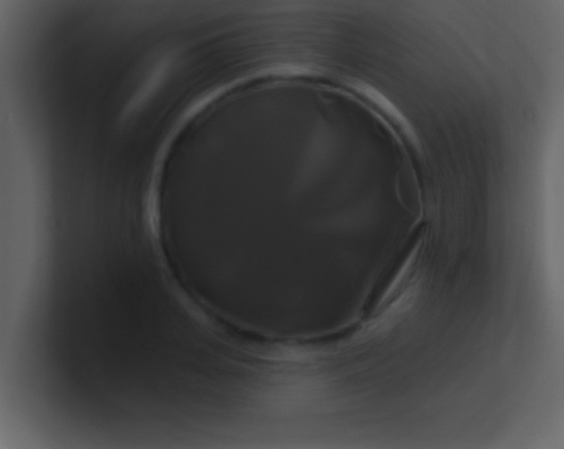 X0000100920935200807081148