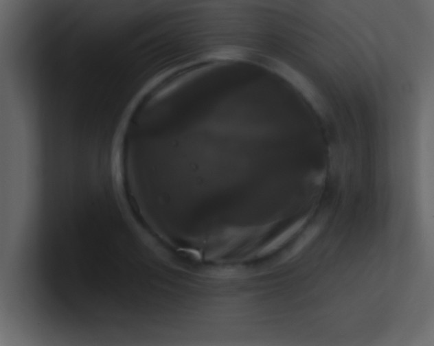 X0000100920939200807081148