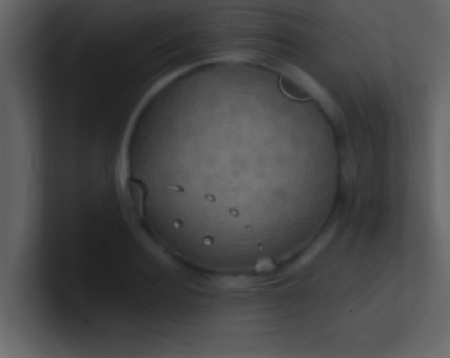 X0000100920940200807081148