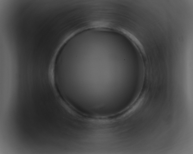 X0000100920941200807081148