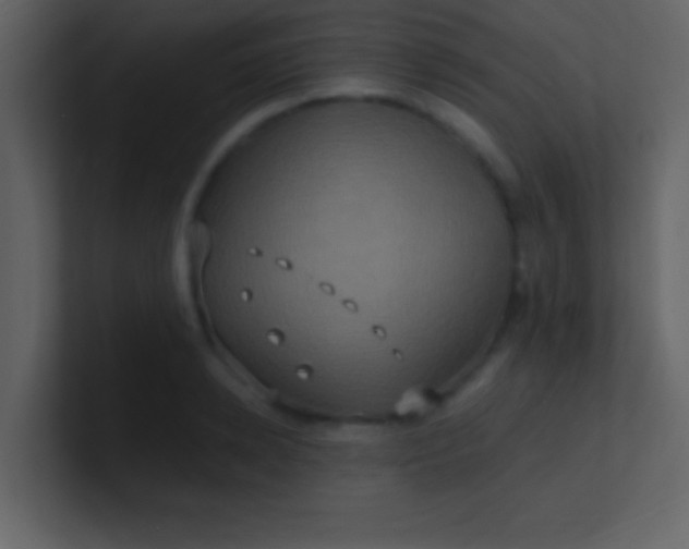 X0000100920942200807081148