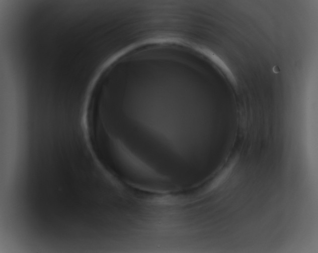 X0000100920943200807081148