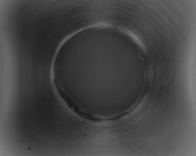 X0000100920944200807081148