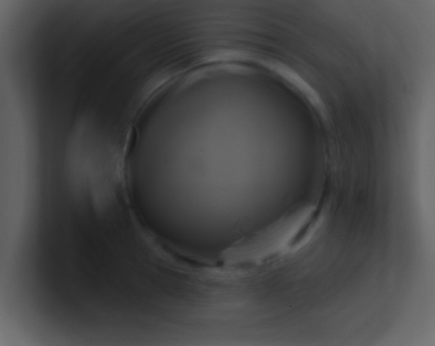 X0000100920945200807081148