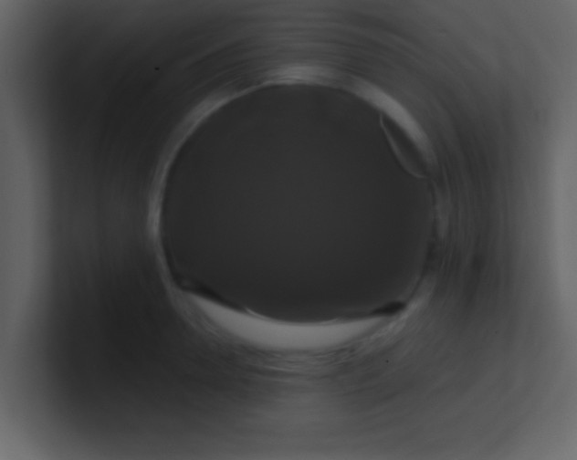 X0000100920946200807081148