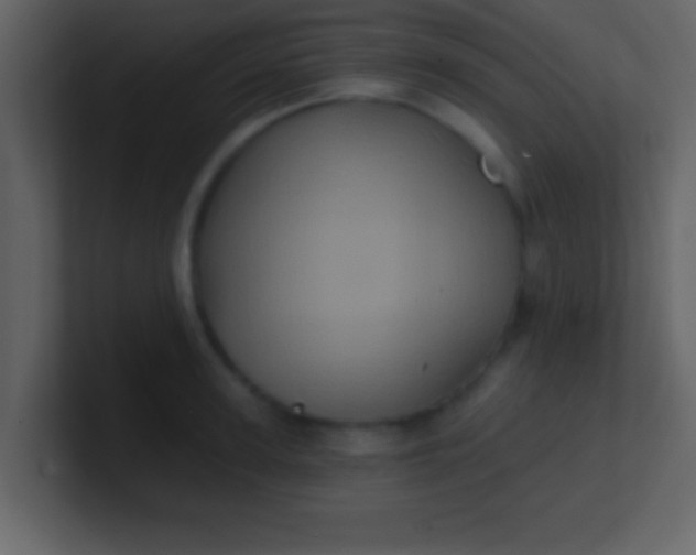 X0000100920947200807081148