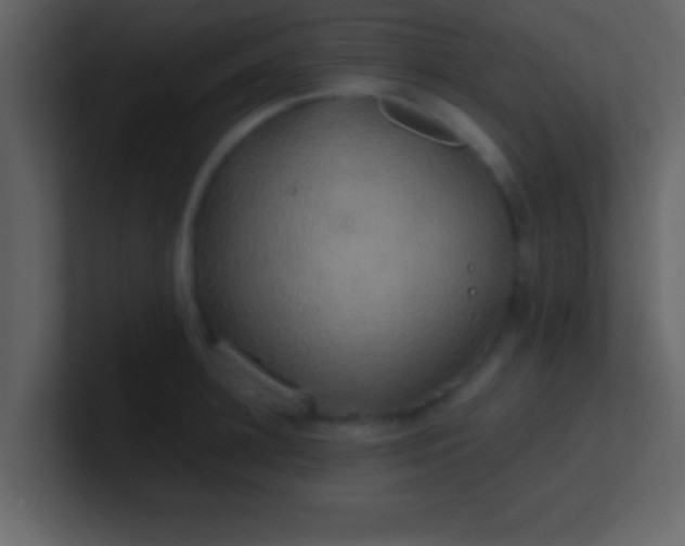 X0000100920948200807081148