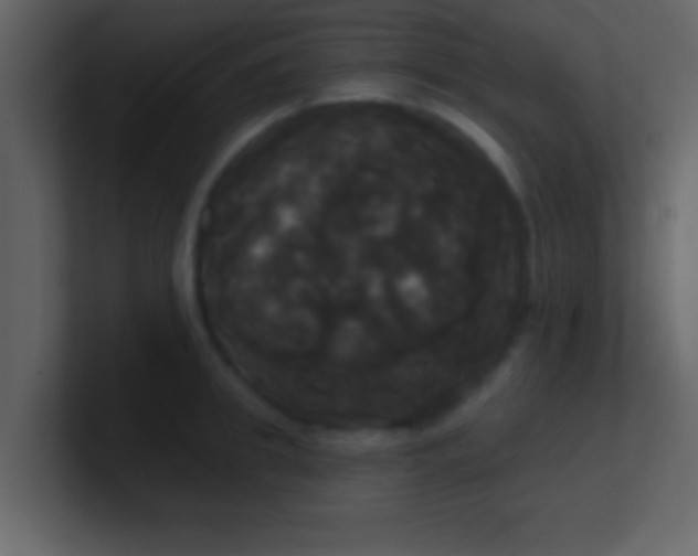 X0000100920949200807081148