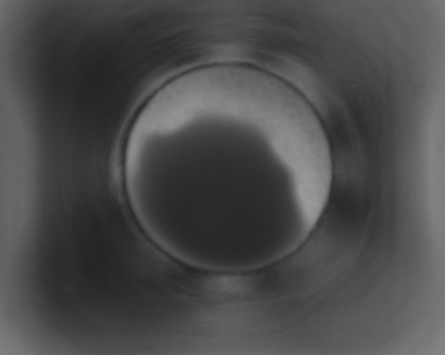 X0000100920950200807081148