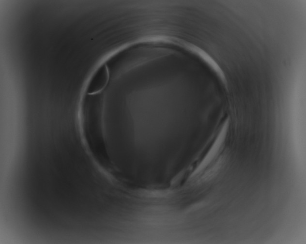 X0000100920951200807081148