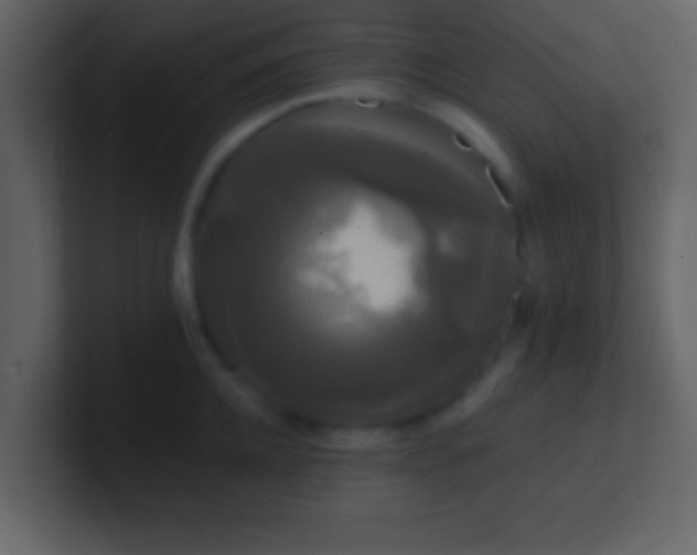 X0000100920952200807081148