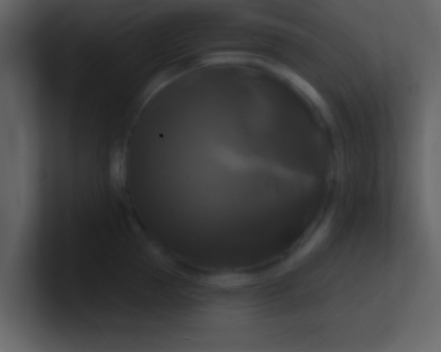 X0000100920953200807081148