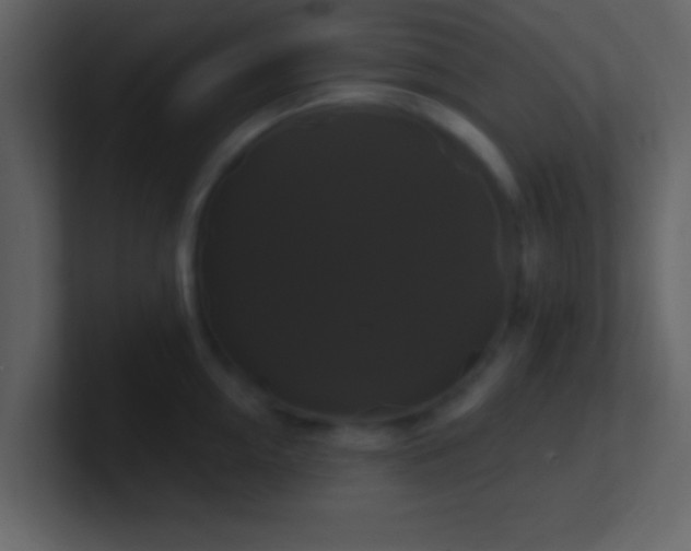 X0000100920954200807081148